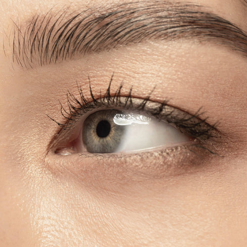 Elleebana Lash Lift (30 mins) - MEROSKIN